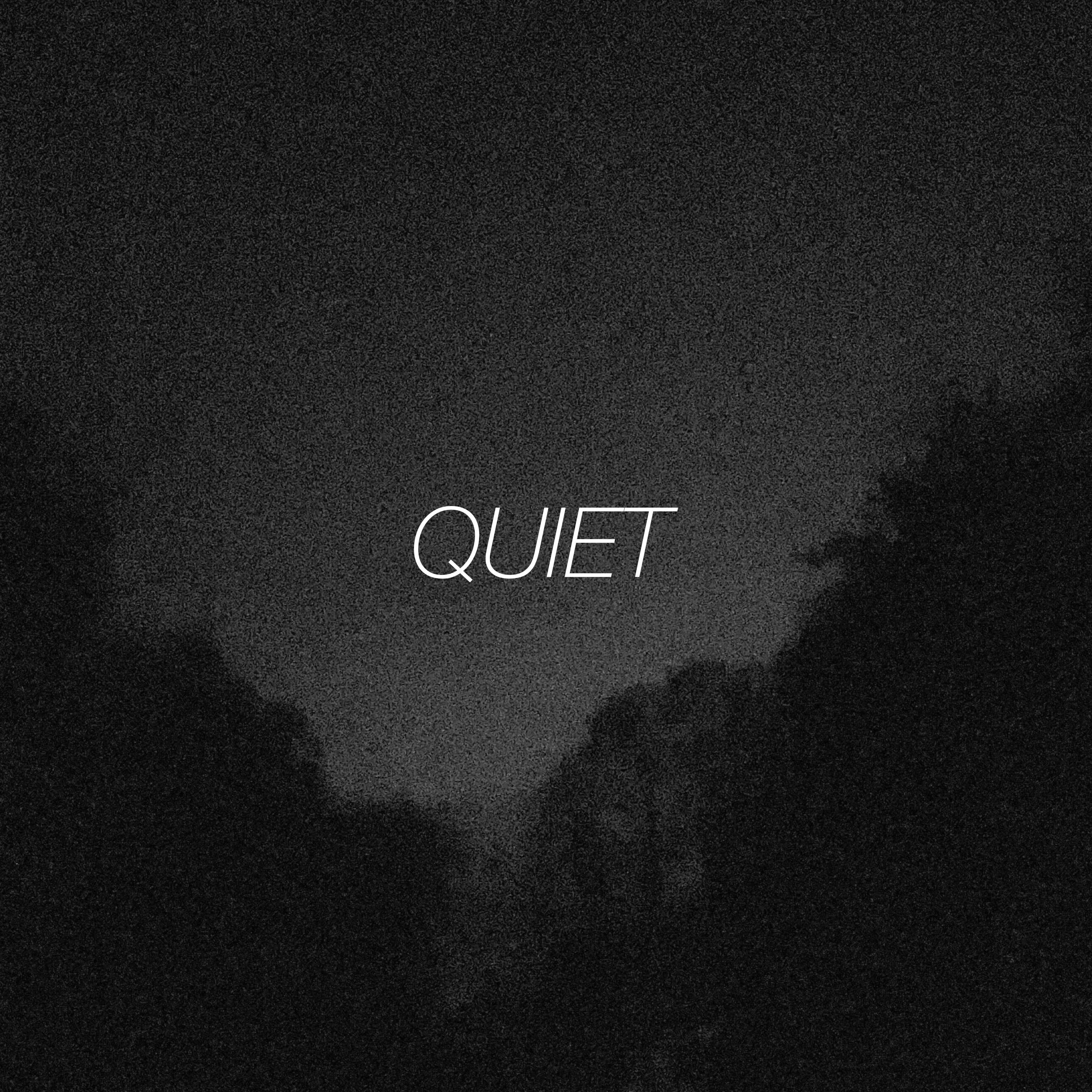 Quiet%20Cover